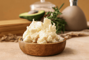 Shea Butter Benefits & How to Apply - Roslin